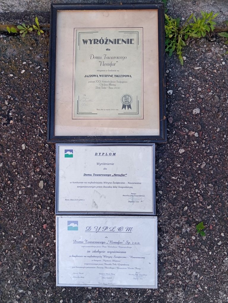 Dom towarowy nenufar Iława