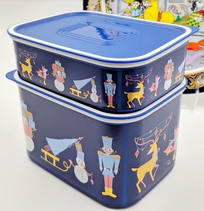 2 Caixas Azuis 500 ml + 1.3L Tupperware