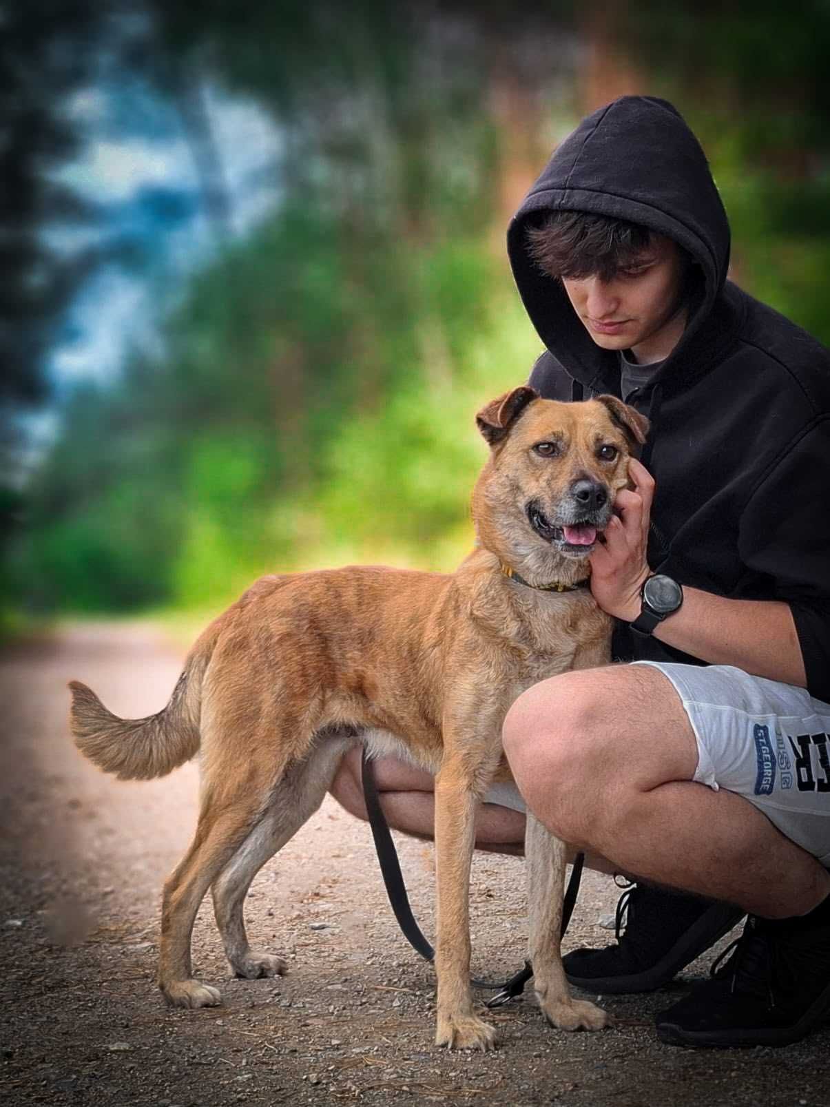 SANELA - zdobędę Cię przebojem