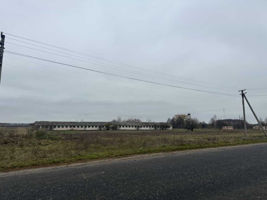 Приміщення телятника