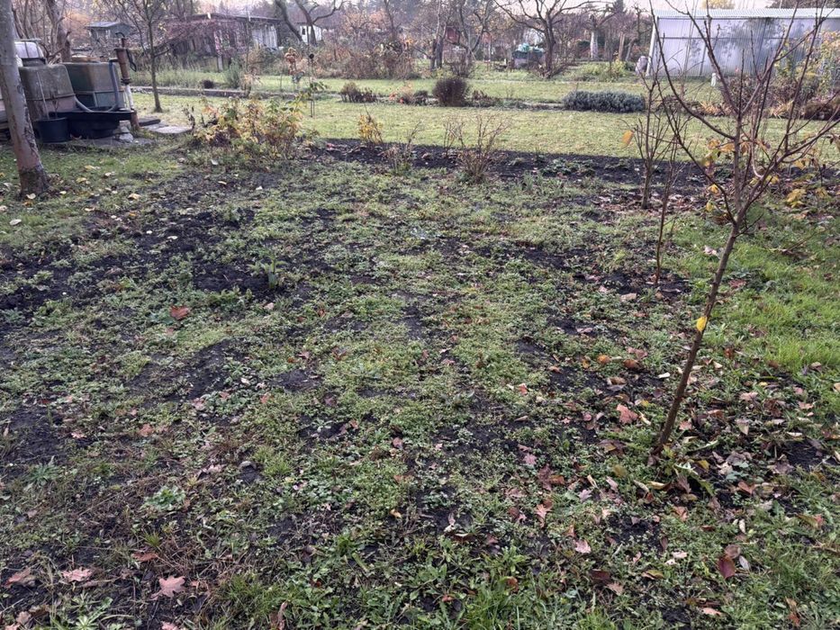 Działka w ROD „Pilczyce”