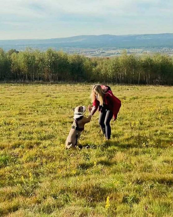Petsitter, Behawiorysta zwierząt