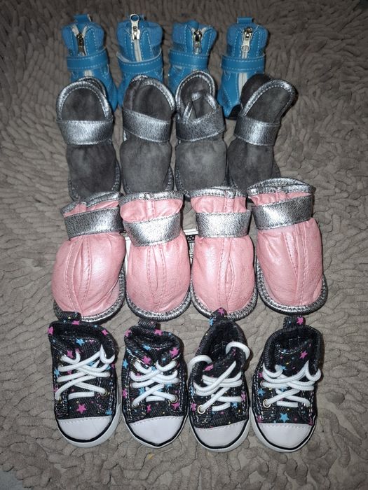 Взуття для собак дрібних порід нове