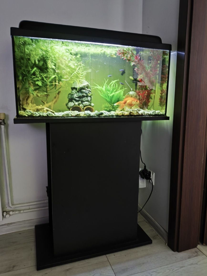 Akwarium 80l + osprzęt
