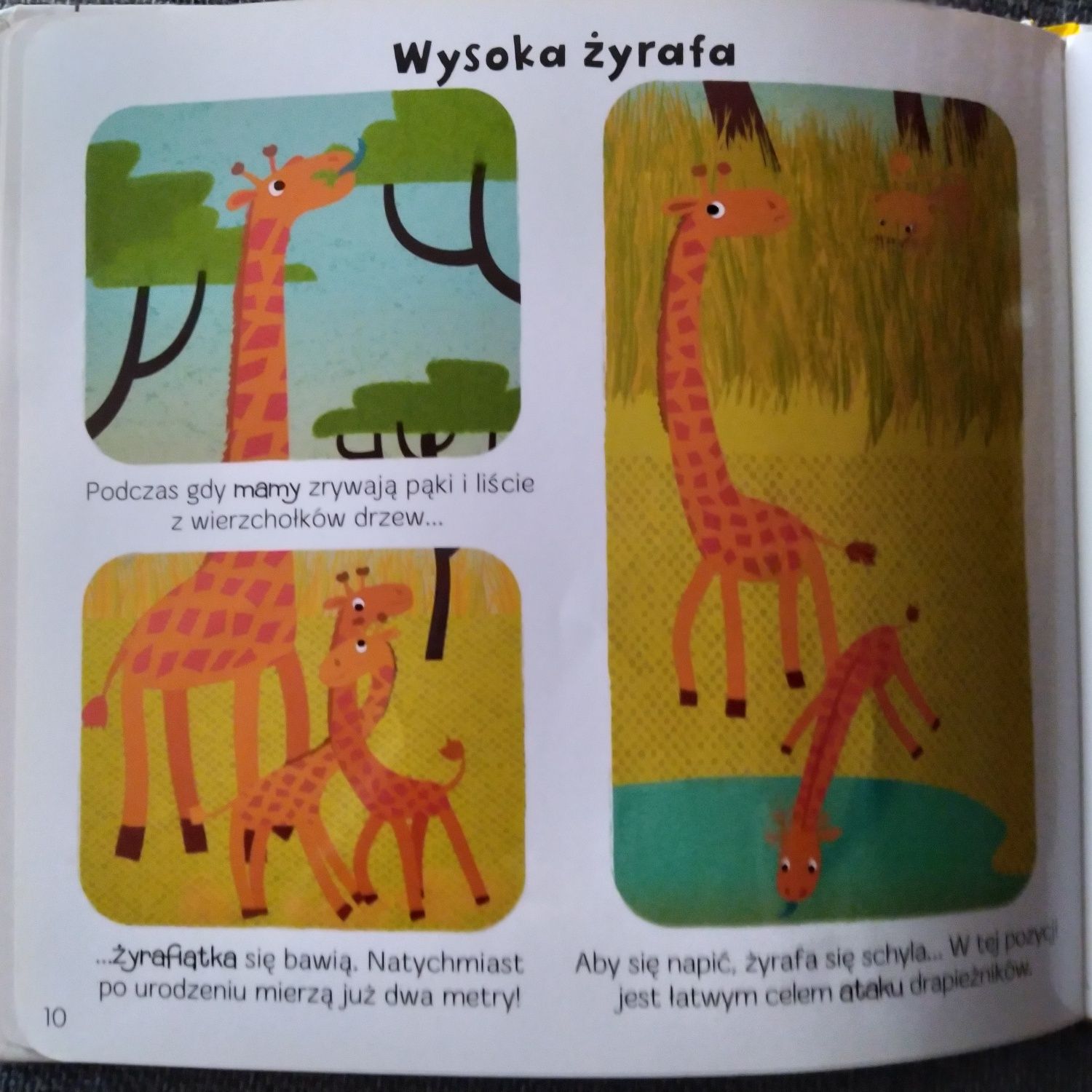 Książka 3+ Zwierzęta sawanny Encyklopedia dla malucha puzzle Olesiejuk