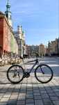 Rower MTB/XC 29er szybki lekki 15kg Biria Pro RS Cross Sport 170-180cm