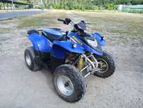 Polaris Phoenix Homologacja Access Maxxer Inny LTZ YFM TRX DS Kardan