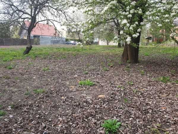 Działka 13 arów, Zamość, Zakamarek