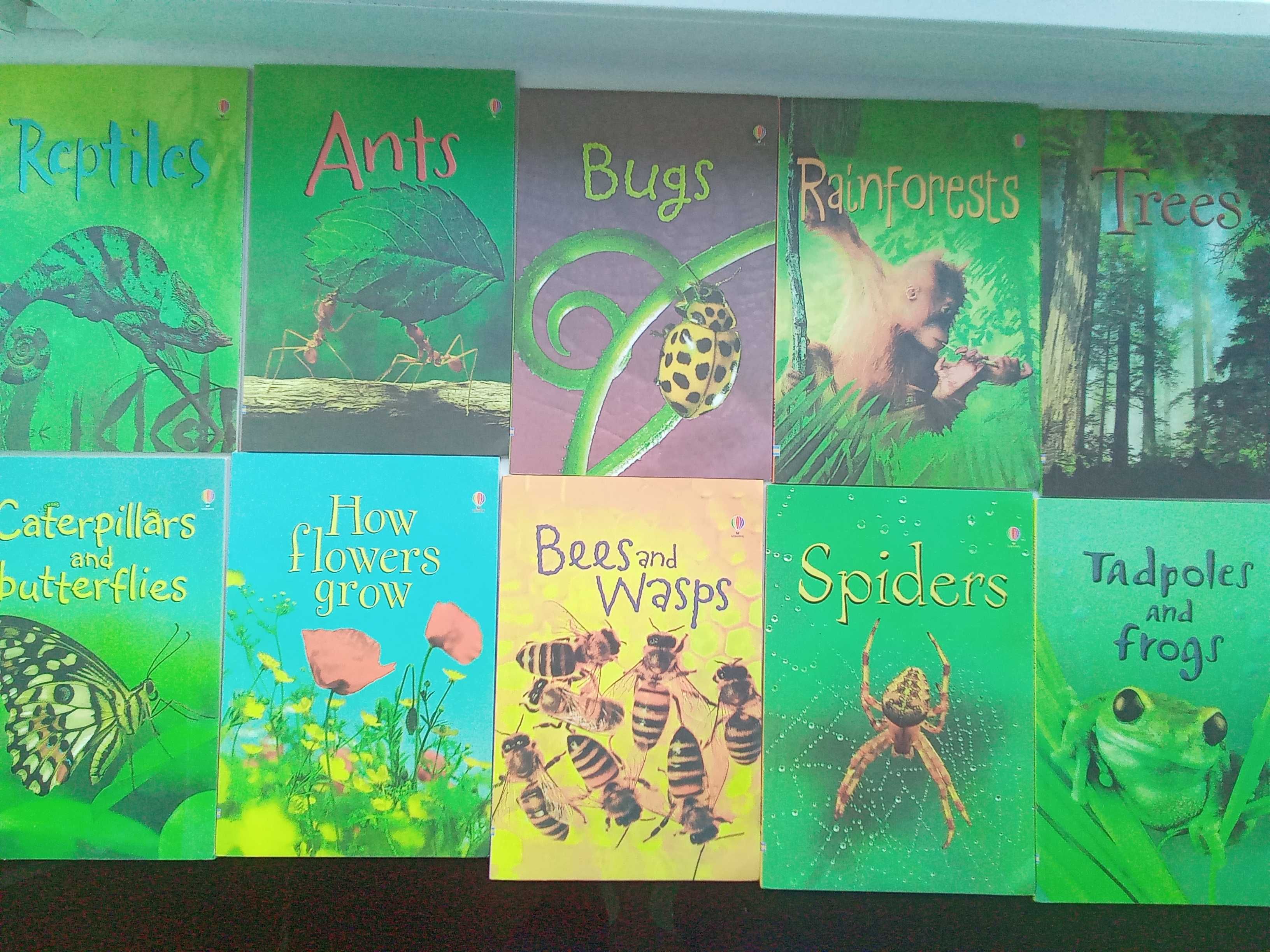 Usborne Nature Box 10 książek