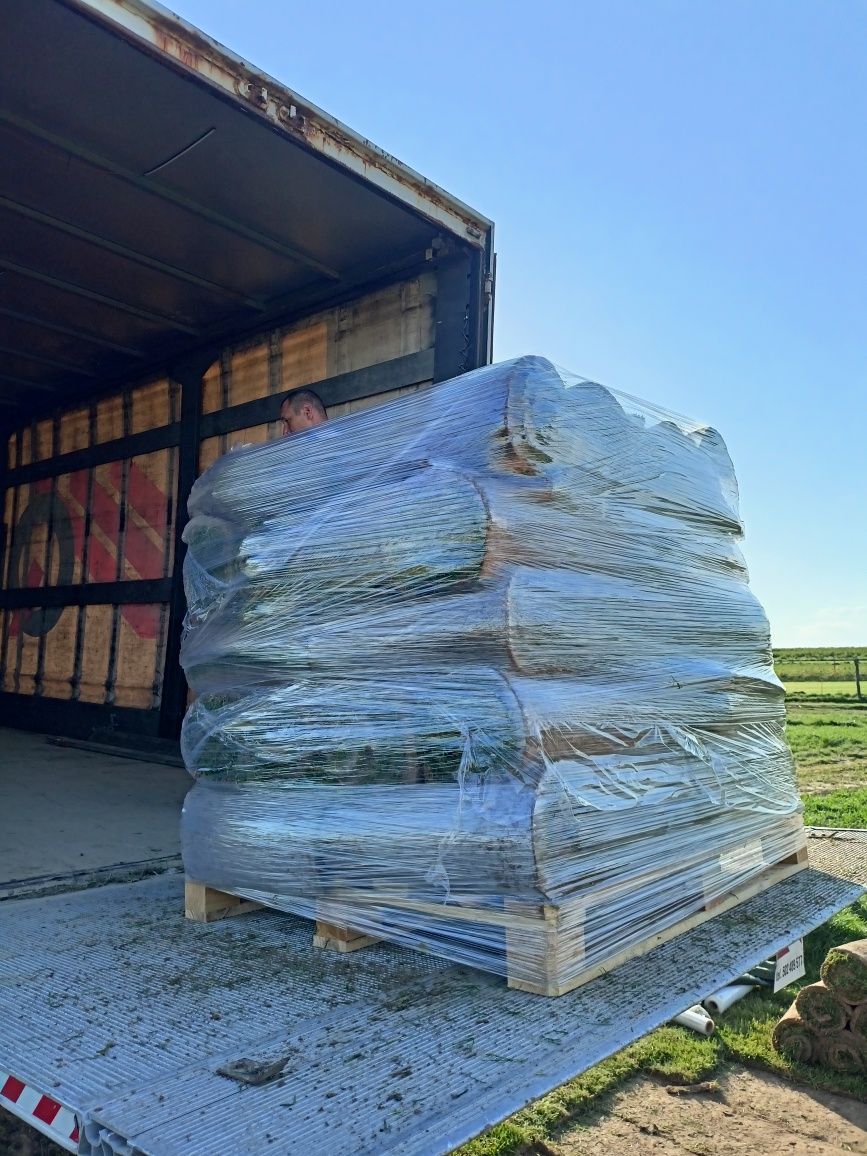Trawa z rolki Barenbrug rożne odmiany, Producent.