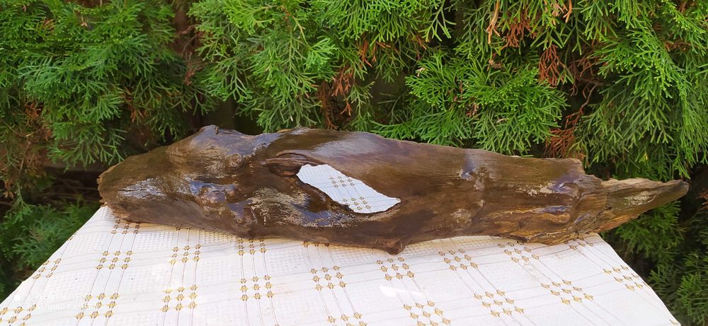 Konar z otworem do akwarium-57 cm