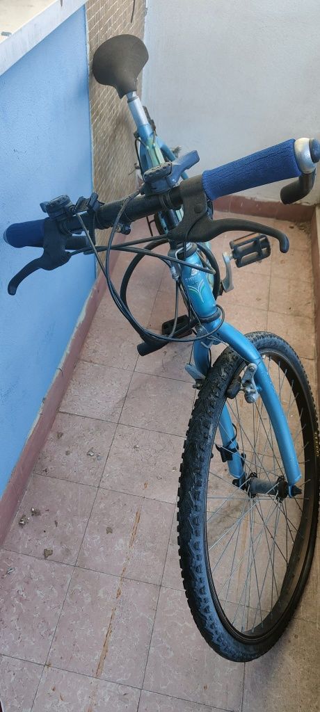 Bicicleta big mount