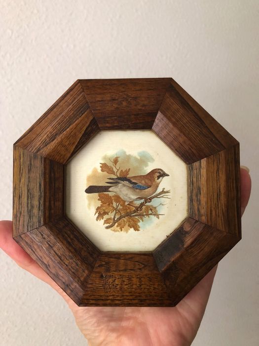 2 quadros antigo de pássaros Italian