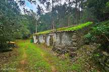 Terreno misto com Ruína à Venda em Marmelete - Monchique