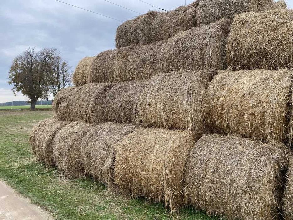 Oddam słome ZA DARMO kontakt telefoniczny