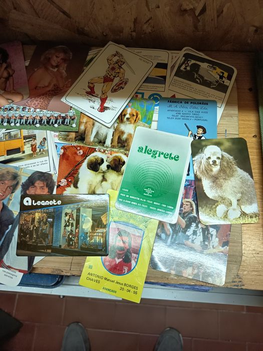 Calendárioe de coleção