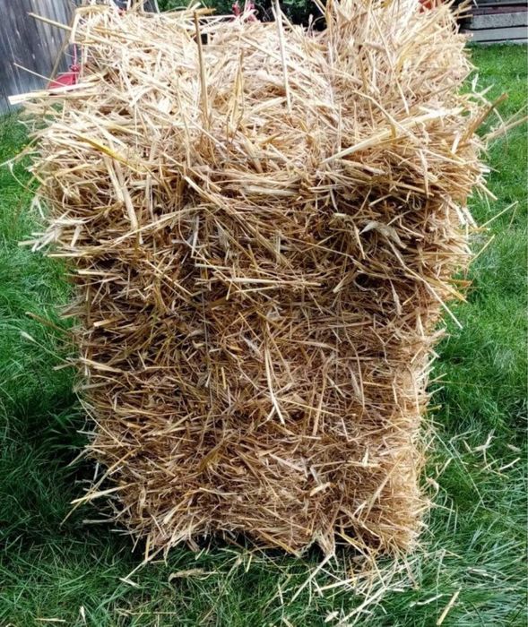 Słoma i siano duża Kostka z dowozem