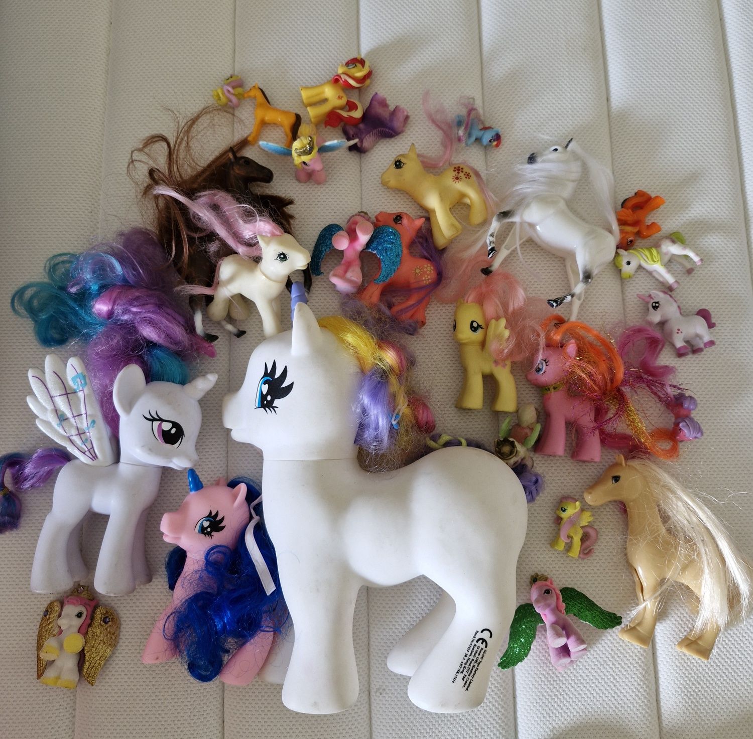 Koniki pony i inne
