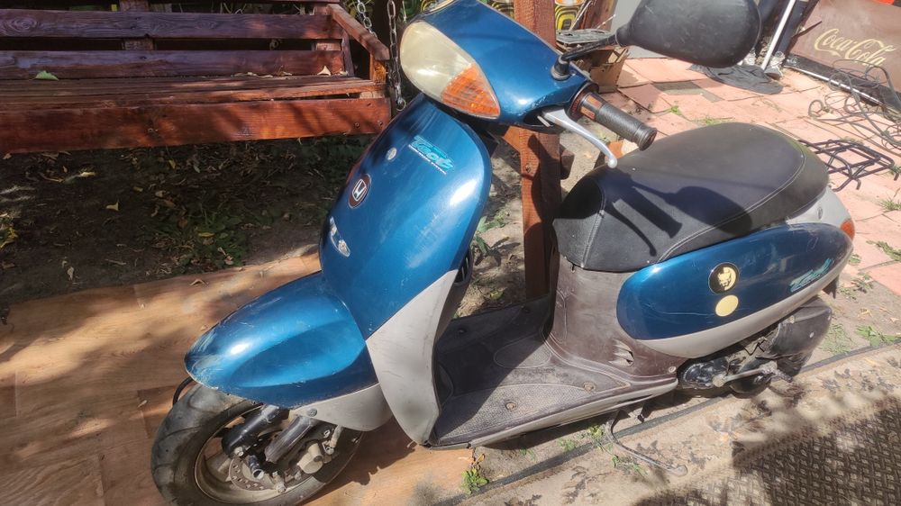 Honda tact af 51