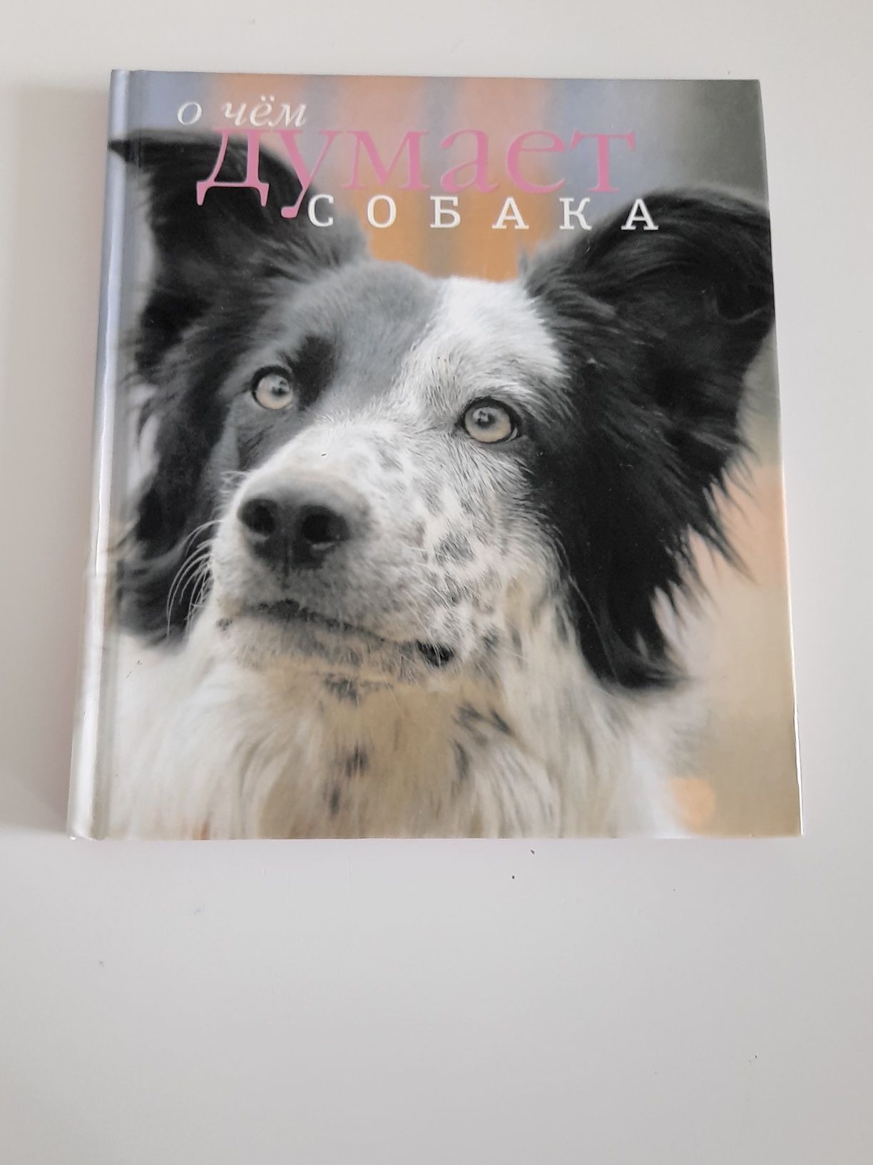 Книга "О чём думает собака"