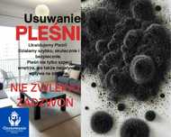 Usuwanie Pleśni Odgrzybianie Ozonowanie Wrocław i okolice