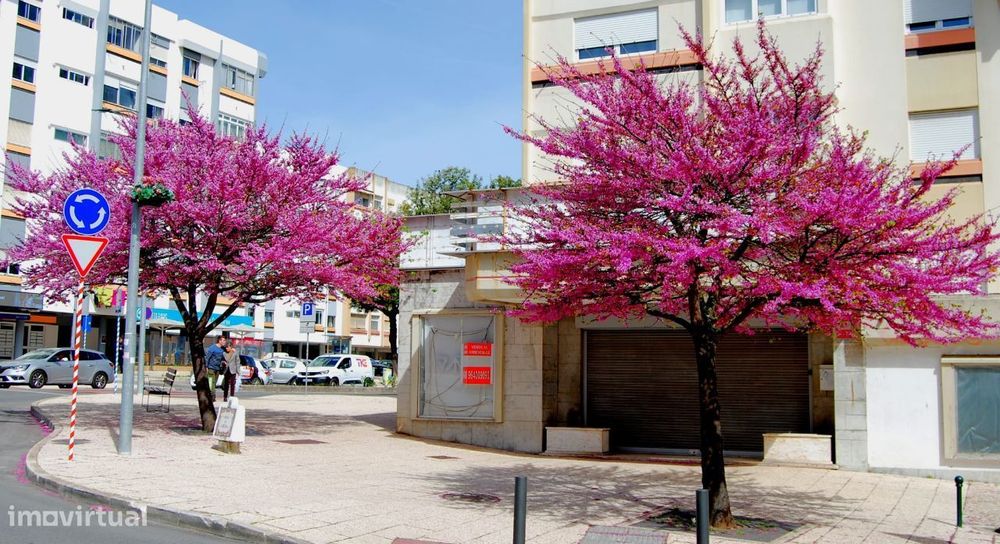 Espaço Comercial com1800 m2