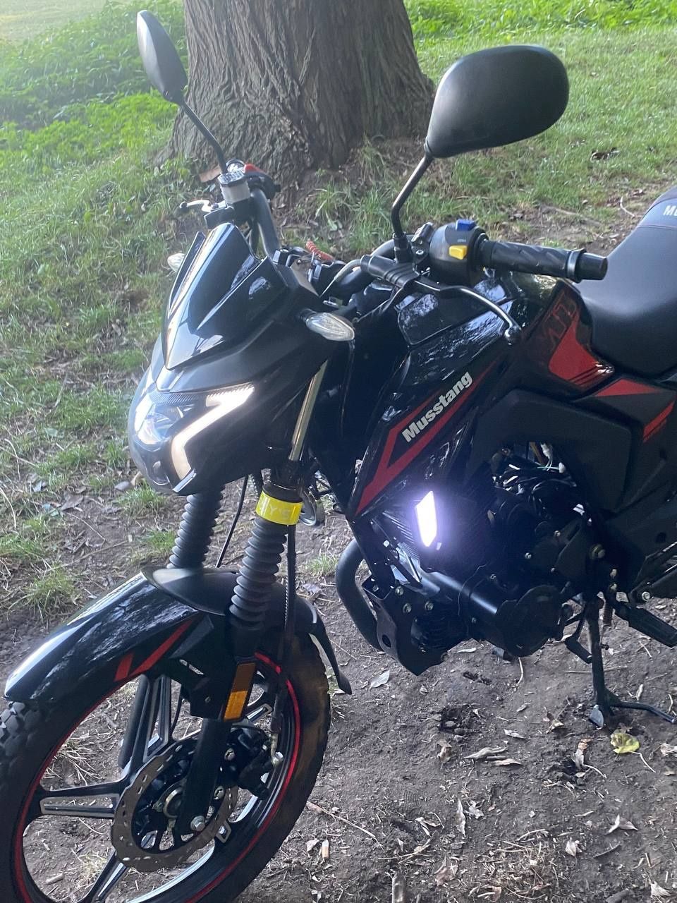Мусстанг фортуна 250 / Musstang region Mt 250 - 9 r