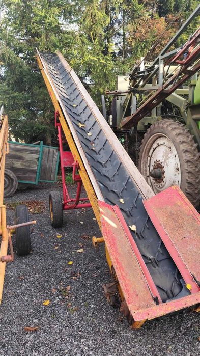 Przenośnik taśmowy 6m taśmociąg Miedema  do ziemniaków warzyw zrębki