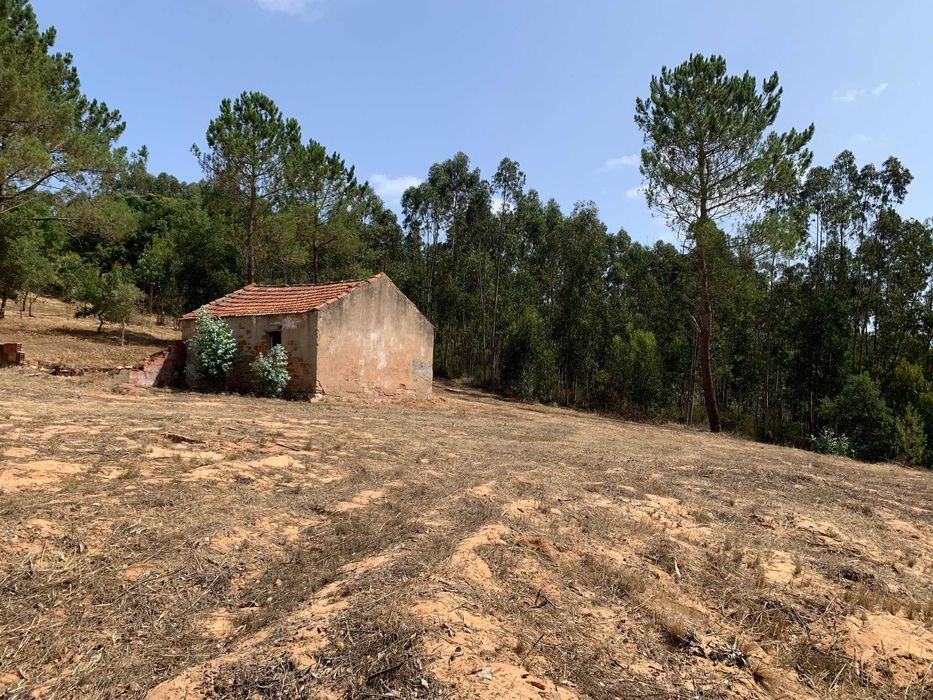 Terreno misto com 11460m2 e casa para recuperar - Salir de Matos