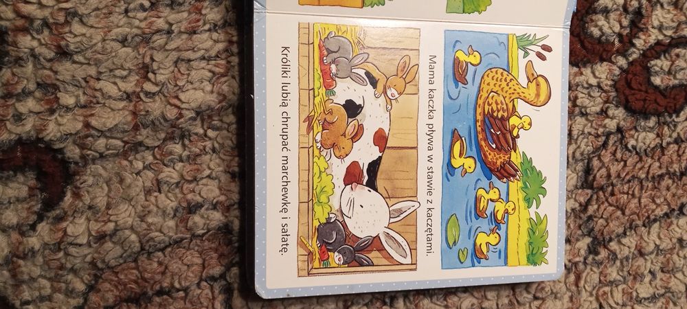 Książeczka dla maluszka zwierzęta.