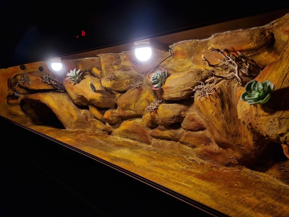 Terrarium na zamówienie dla żółwia 100x40x40