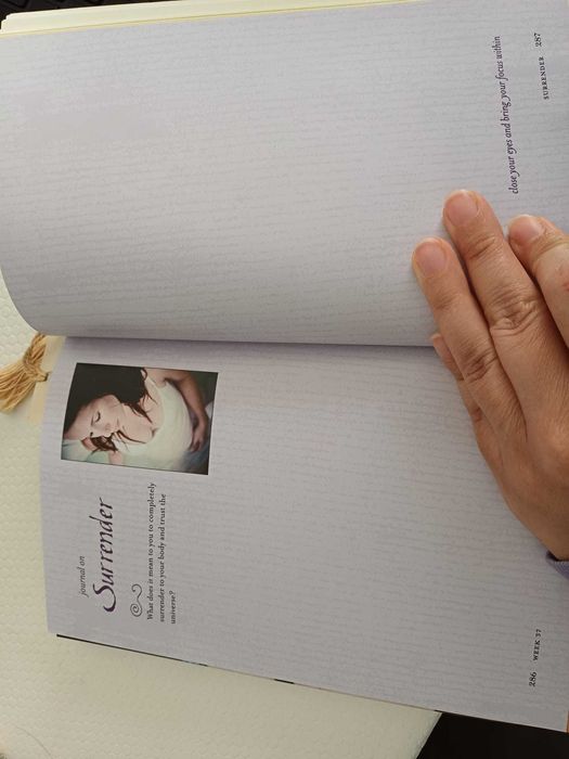 Livro Sacred Pregnancy