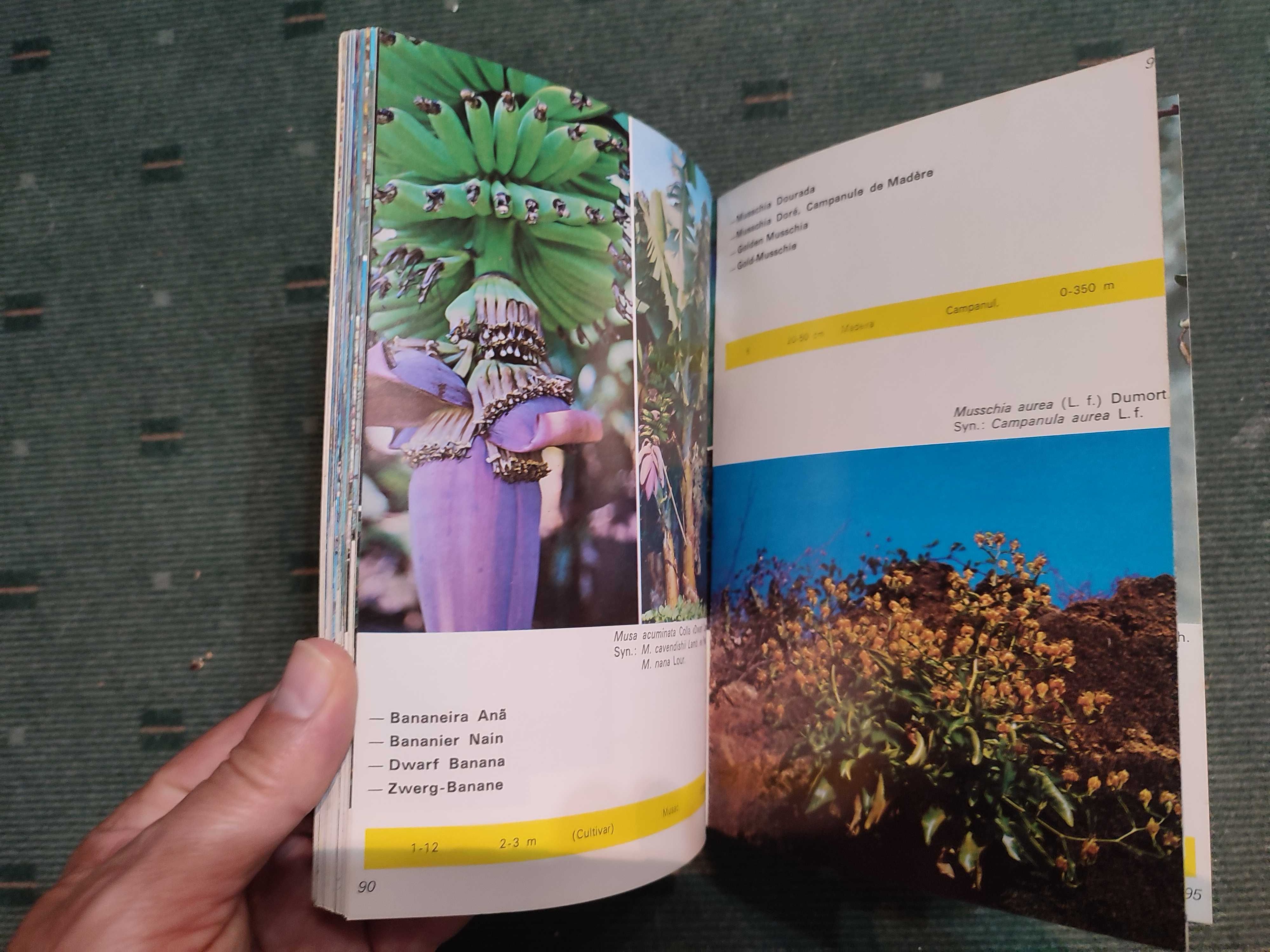 Madeira - Plantas e Flores - Luis de O. Franquinho, António da Costa