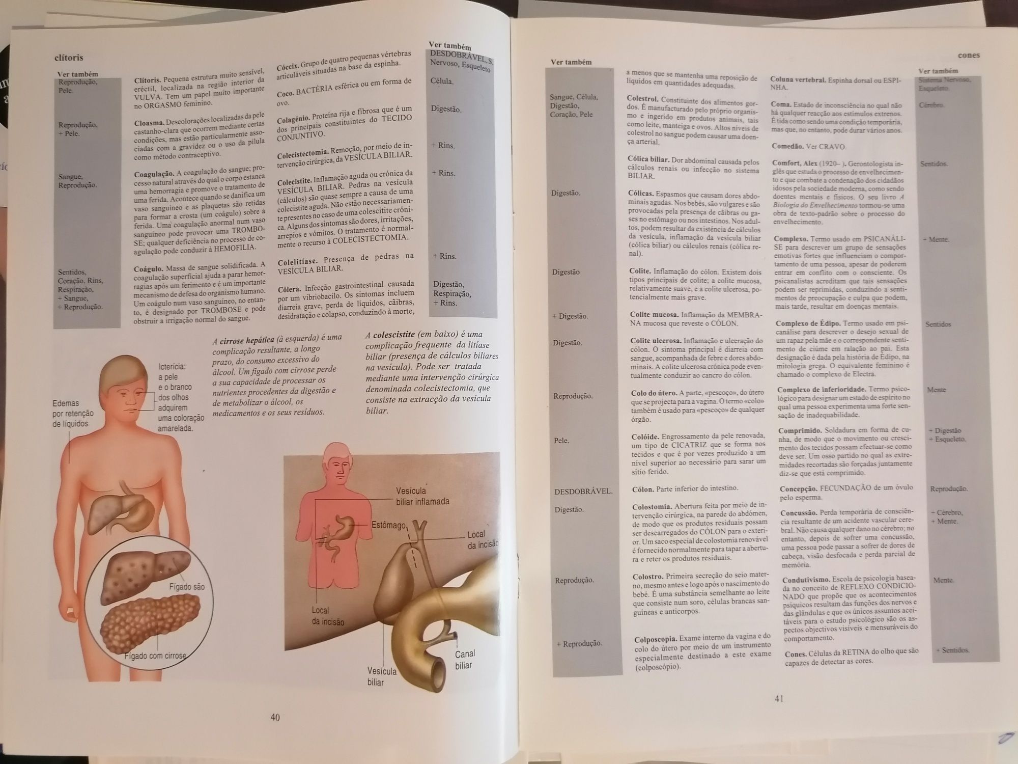 Coleção "O Corpo Humano - Dicionário Básico das Ciências Médicas"