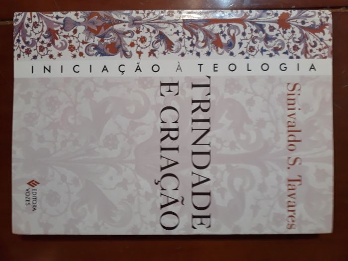 Livro Trindade e Criação de Sinivaldo S.Tavares NOVO