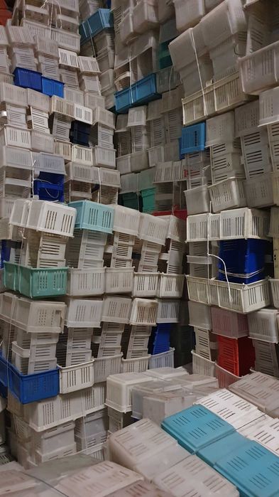 Łubianki plastikowe