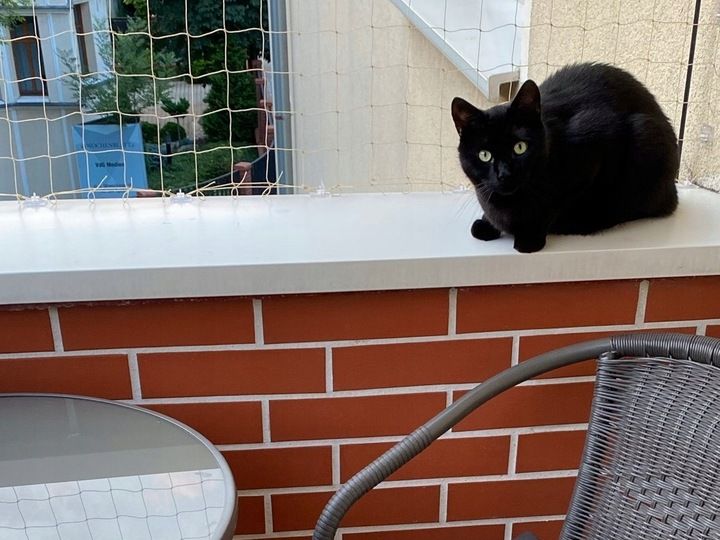 80x Zaczep Do Montażu Siatka Na Balkon Dla Kota Ptaki Bez Wiercenia +