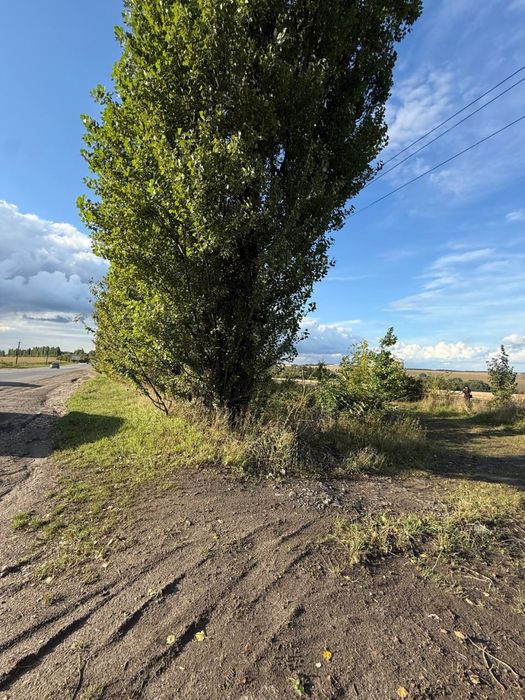 Оренда земельної ділянки