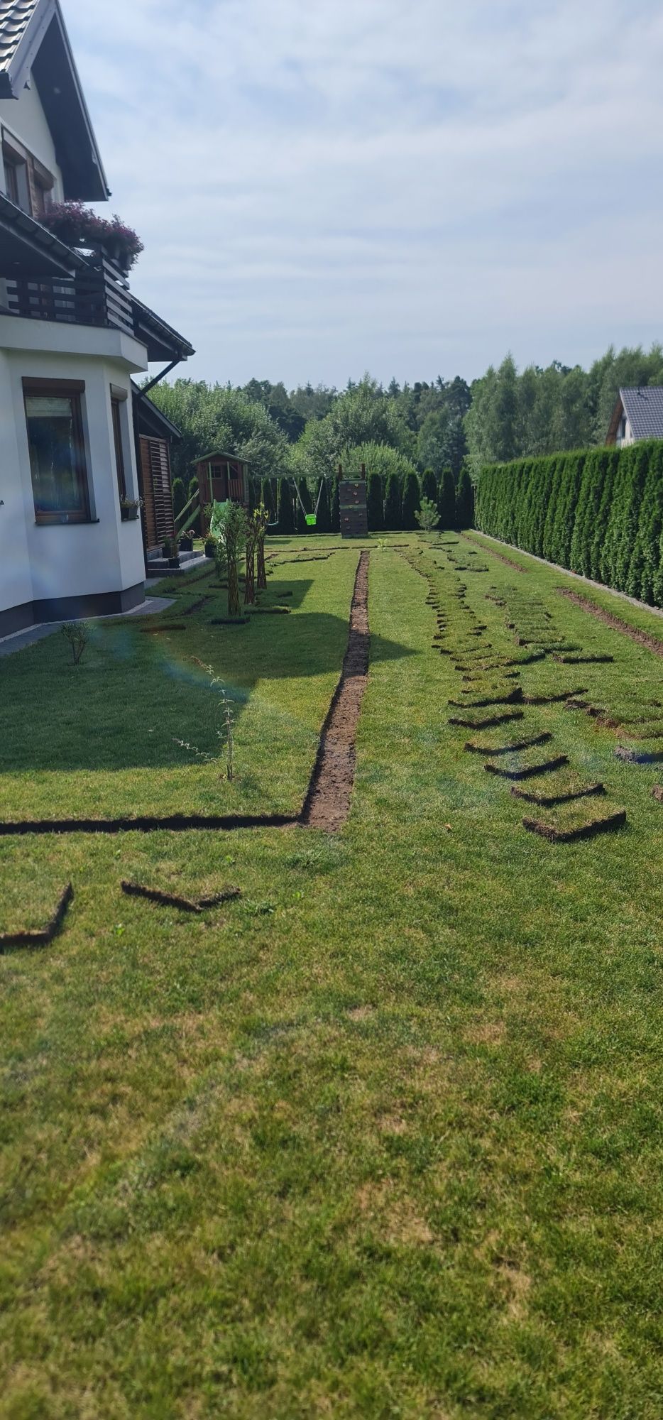 Trawa z rolki systemy nawadniania projekty ogrodów oświetlenie