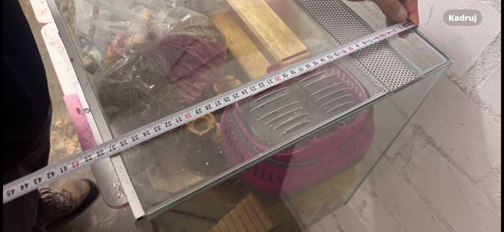 Terarium akwarium polecam!!