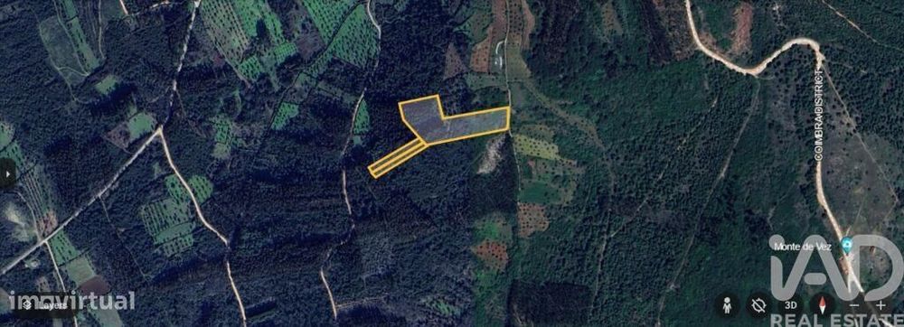 Terreno Agrícola em Alvorge de 7090,00 m2
