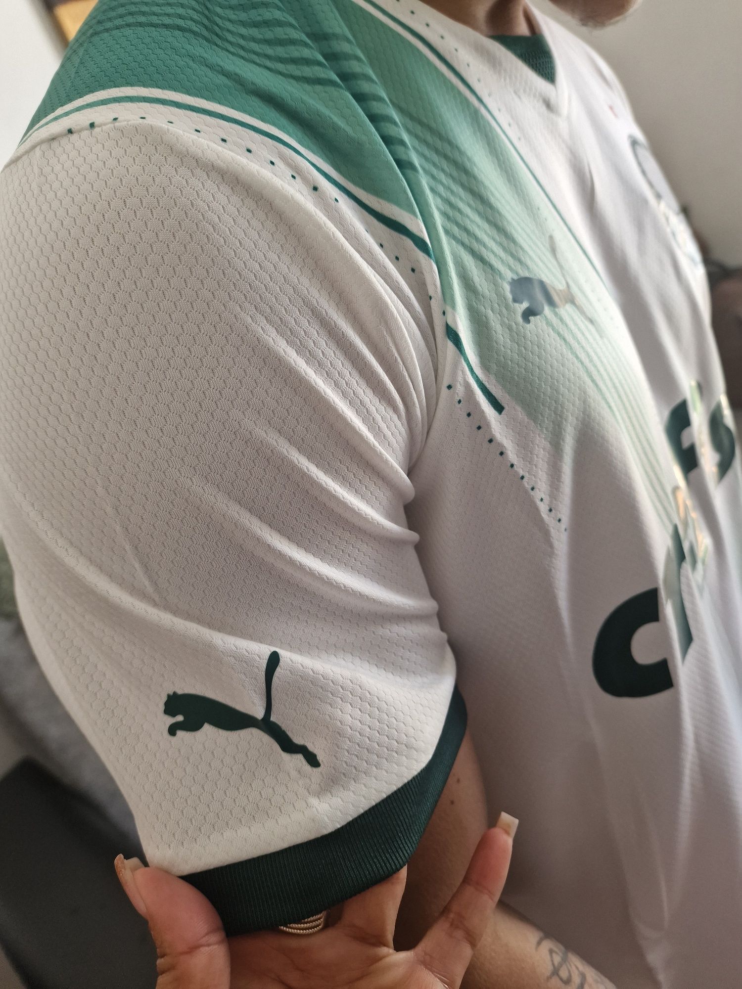 Nova Camisa do Palmeiras