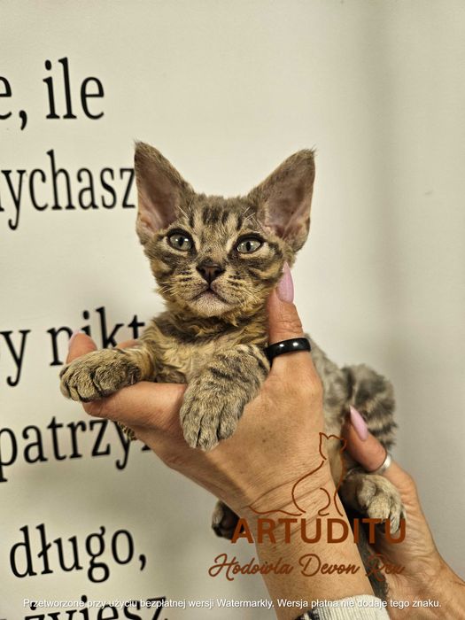 NIKE niebieski tikowany chłopiec