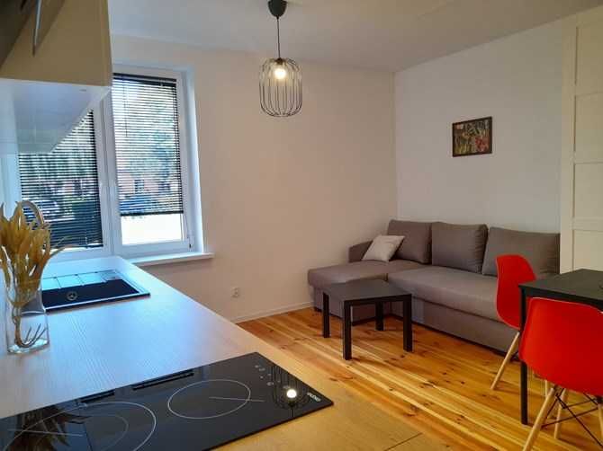 Wynajmę studio przyjazne dla zwierząt, Tomasza 5, PROMOCJA