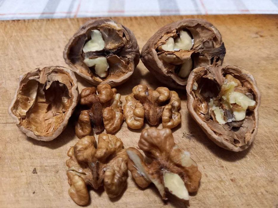 Продам волоський горіх 2025 року