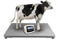 Waga Inwentarzowa do ważenia bydła krów byka 1,2x2,0 5T SOLIDNA