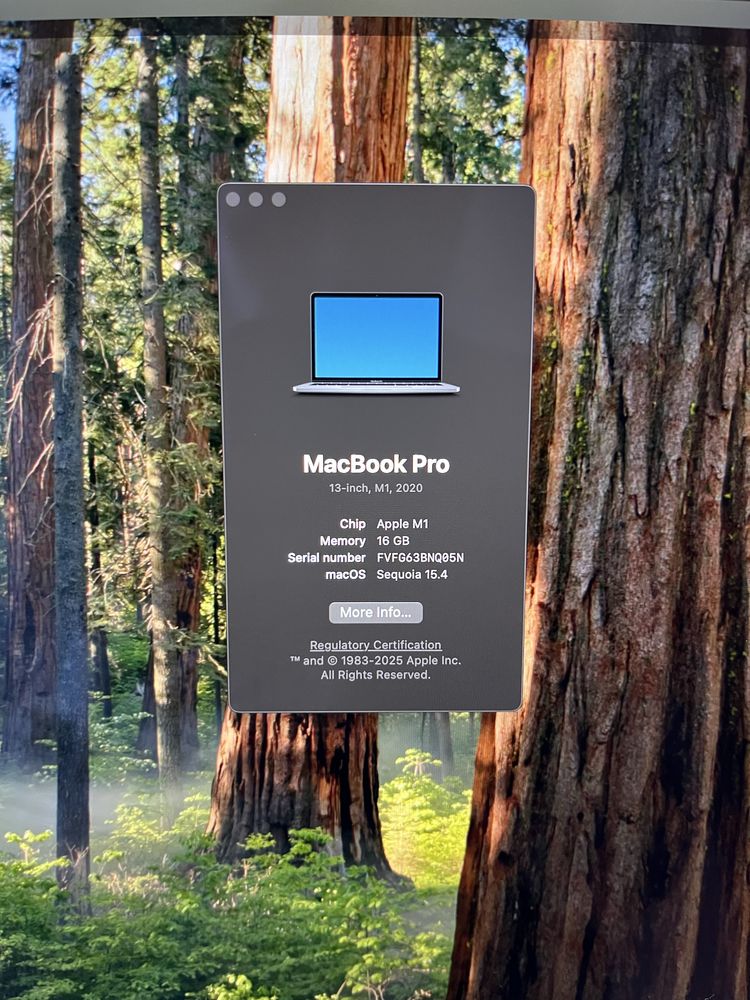 Macbook Pro 13.3 M1 16Gb 256 Gb