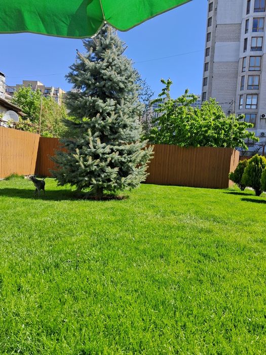 Аератор, скарифікатор Al-Ko 38