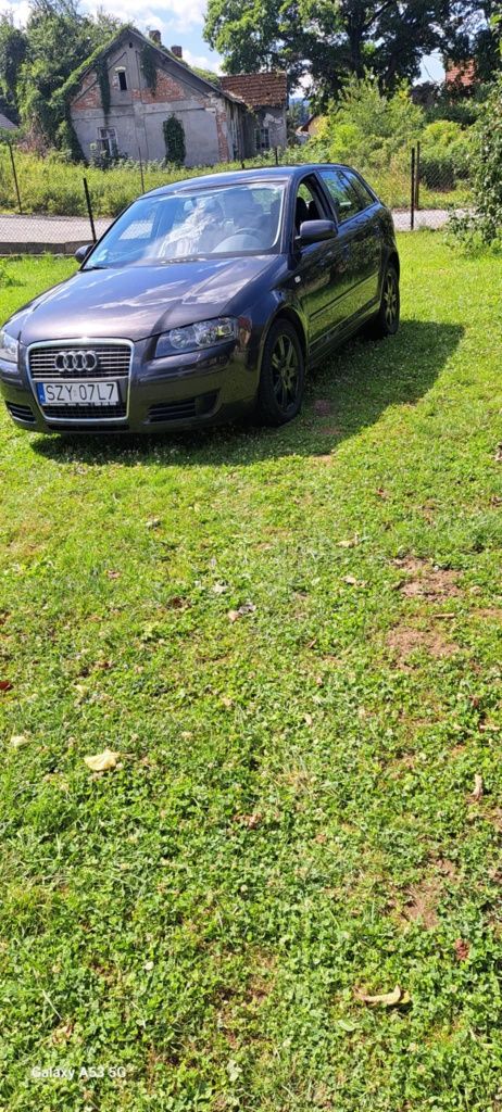 Audi A3 8P 1.9TDI