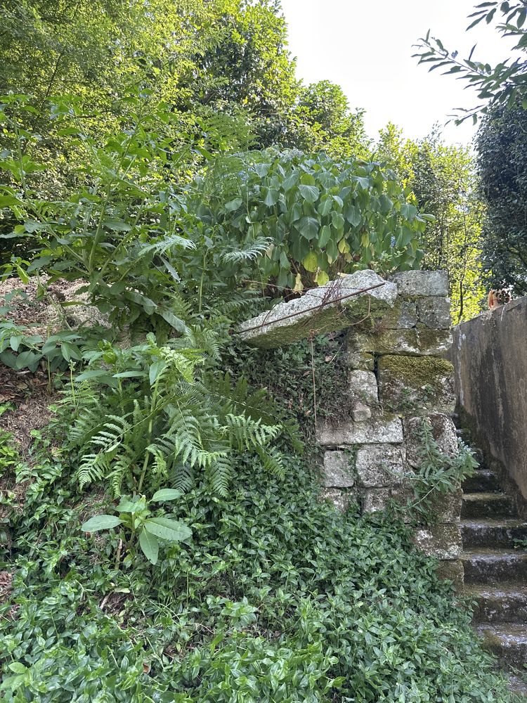 Esteios de granito